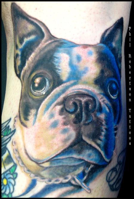 Tattoos - Boston terrier color tattoo - 56230